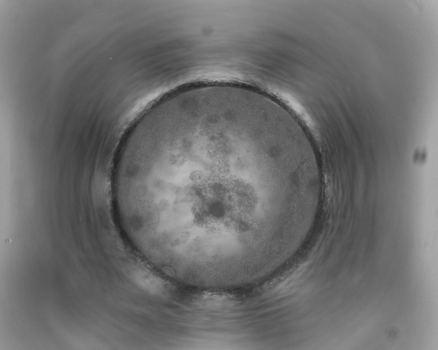 X0000091930487200709051504