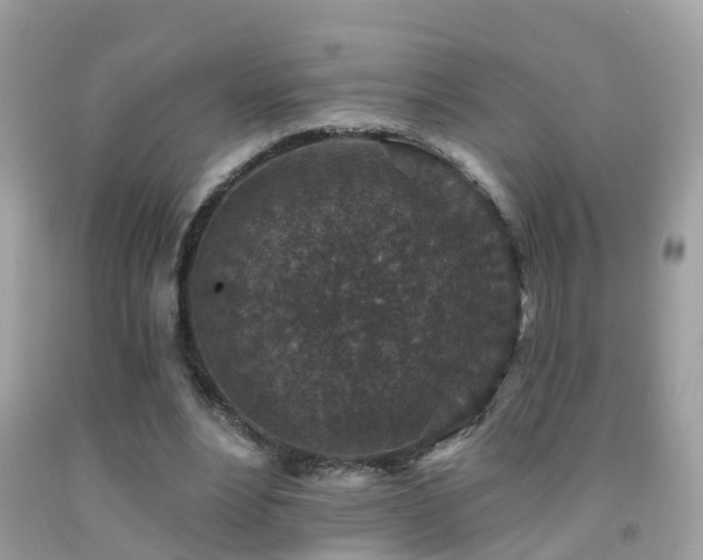 X0000091930488200709051504