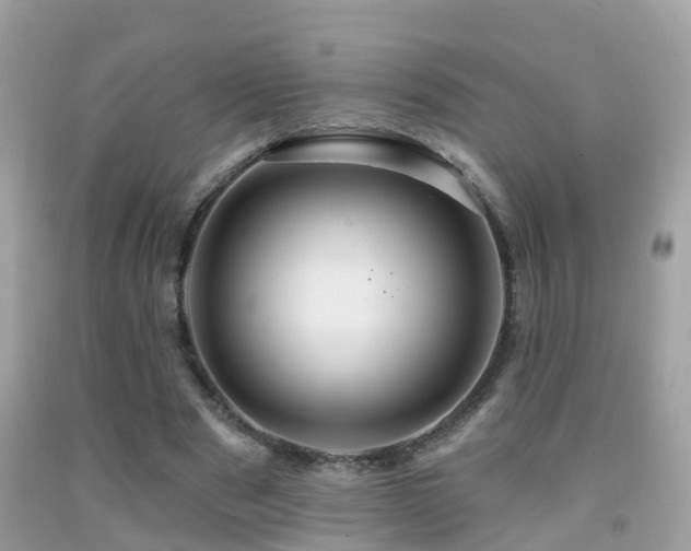 X0000091930489200709051504