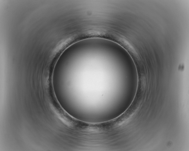 X0000091930490200709051504