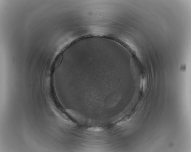 X0000091930492200709051504
