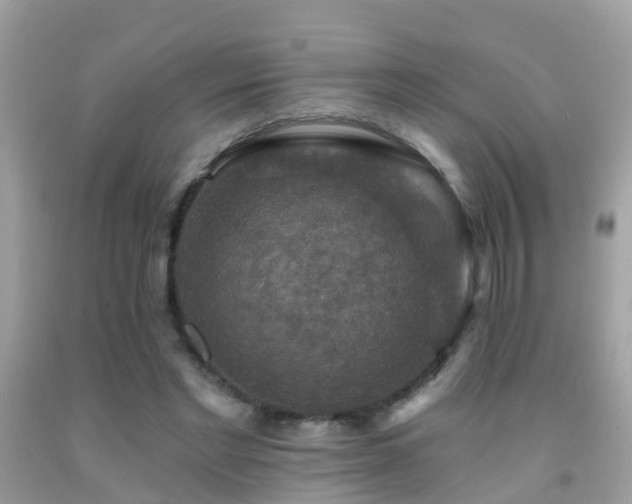 X0000091930493200709051504