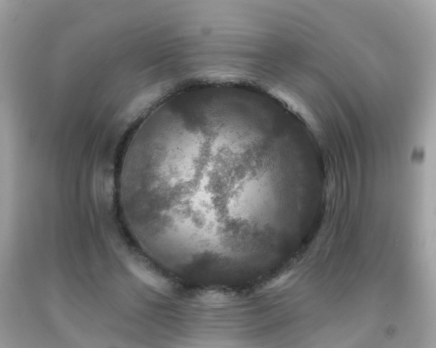 X0000091930494200709051504
