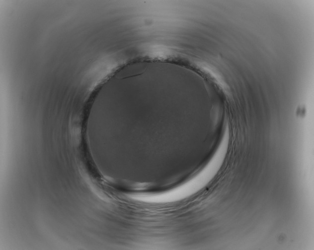 X0000091930496200709051504