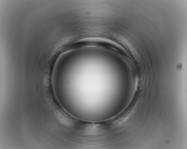 X0000091930497200709051504