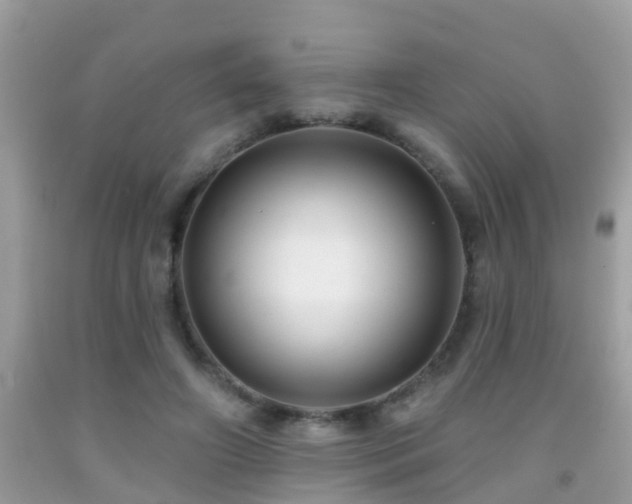X0000091930498200709051504