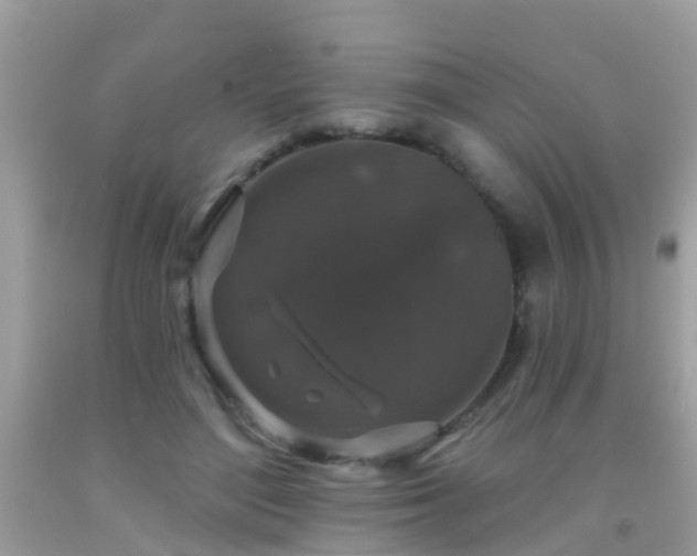 X0000091930500200709051504