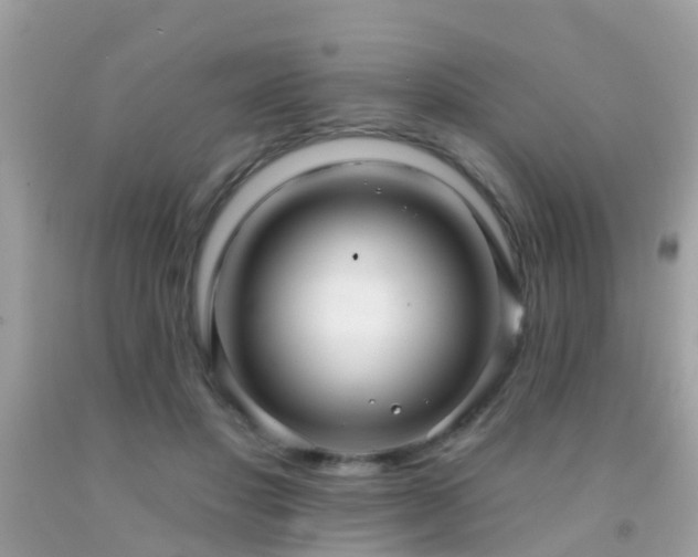 X0000091930501200709051504