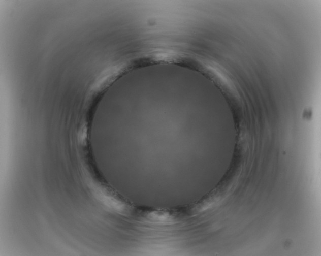 X0000091930502200709051504