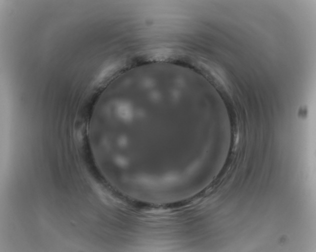 X0000091930503200709051504