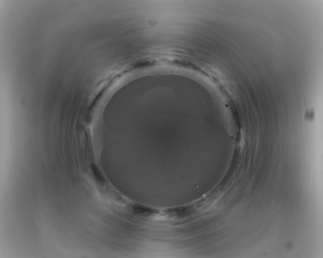 X0000091930504200709051504