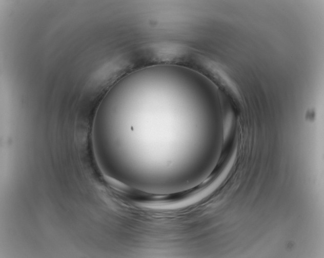 X0000091930505200709051504