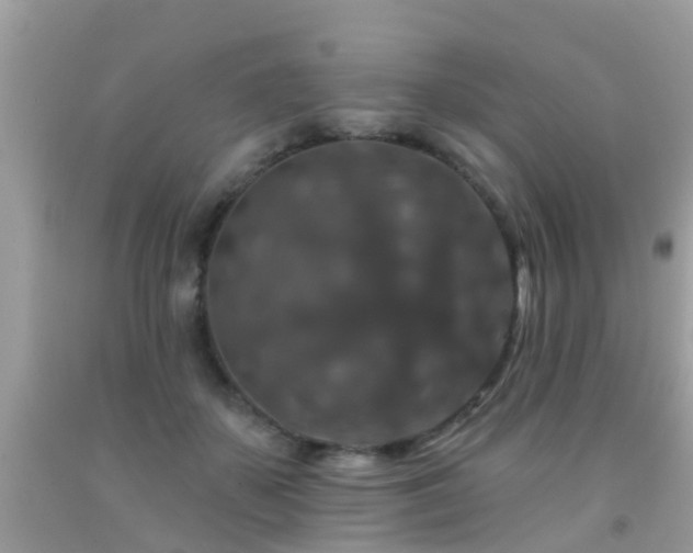 X0000091930507200709051504