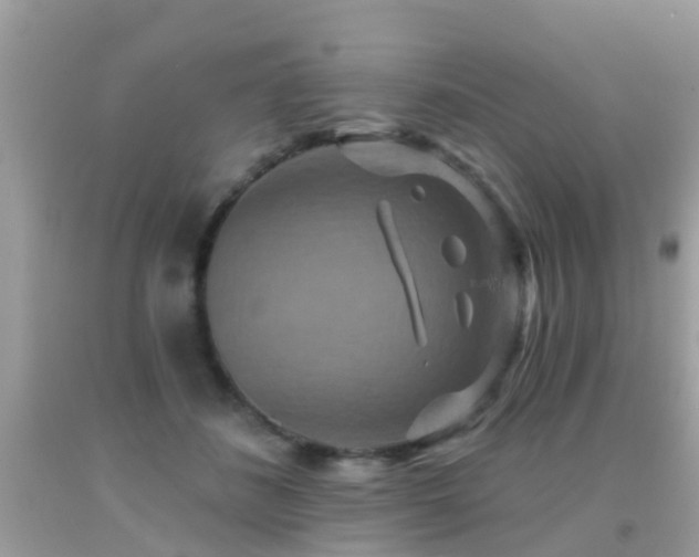 X0000091930508200709051504