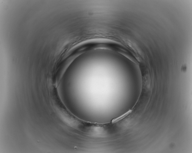 X0000091930509200709051504