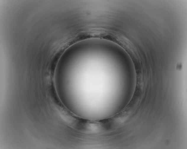X0000091930510200709051504