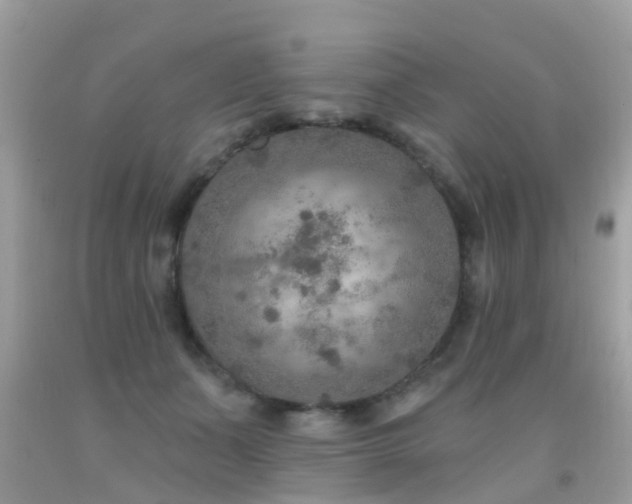 X0000091930511200709051504