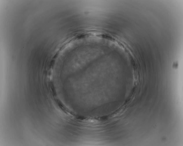 X0000091930512200709051504