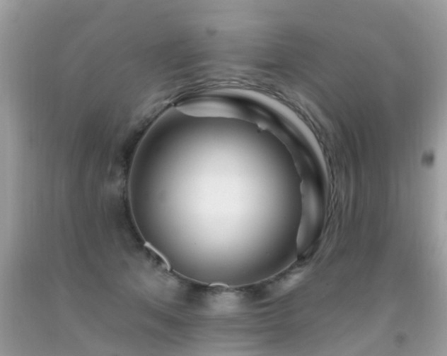 X0000091930513200709051504