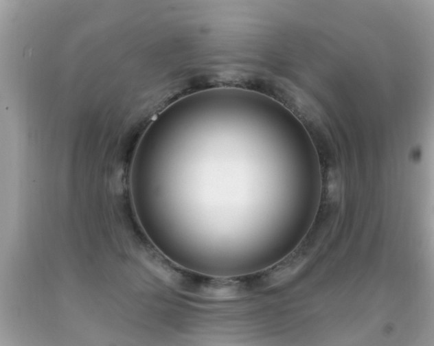X0000091930514200709051504