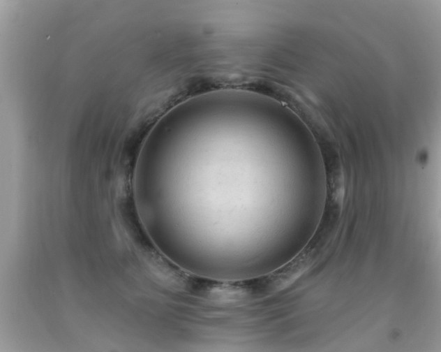 X0000091930515200709051504