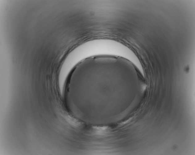 X0000091930516200709051504