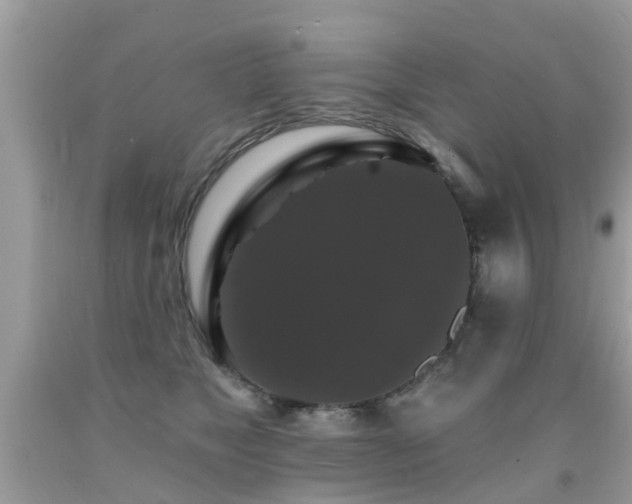 X0000091930517200709051504