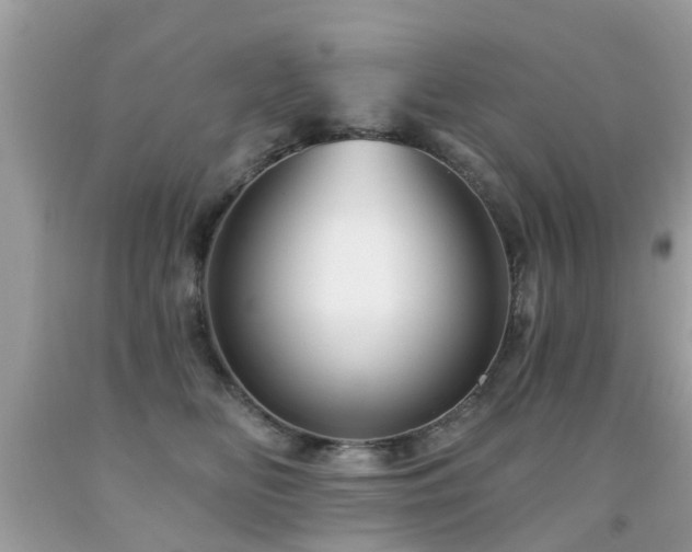 X0000091930518200709051504
