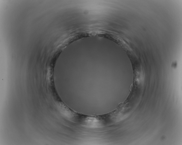 X0000091930519200709051504