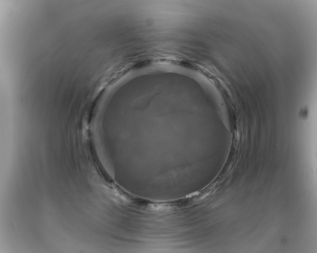 X0000091930520200709051504