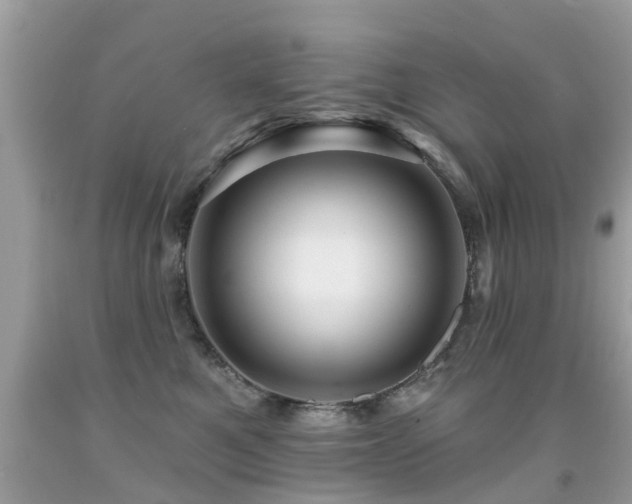 X0000091930521200709051504