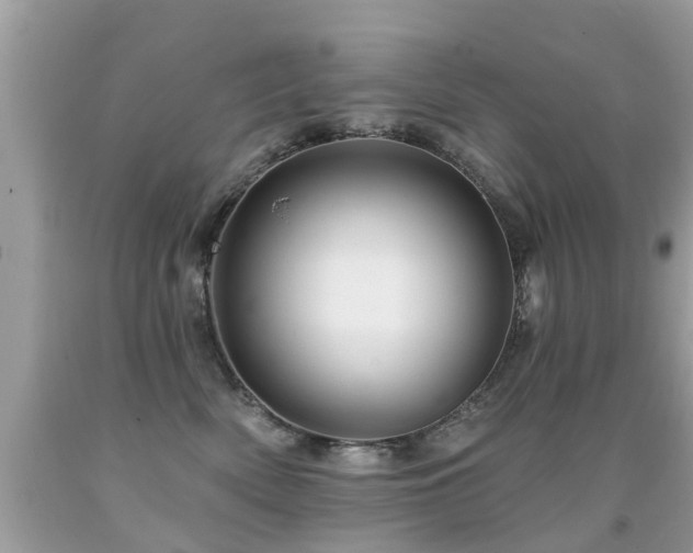 X0000091930522200709051504