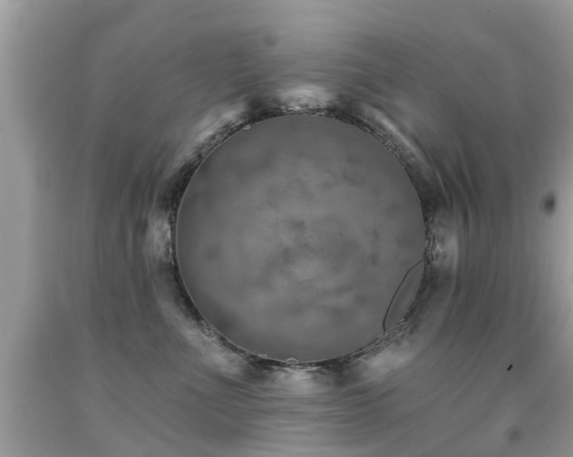 X0000091930523200709051504