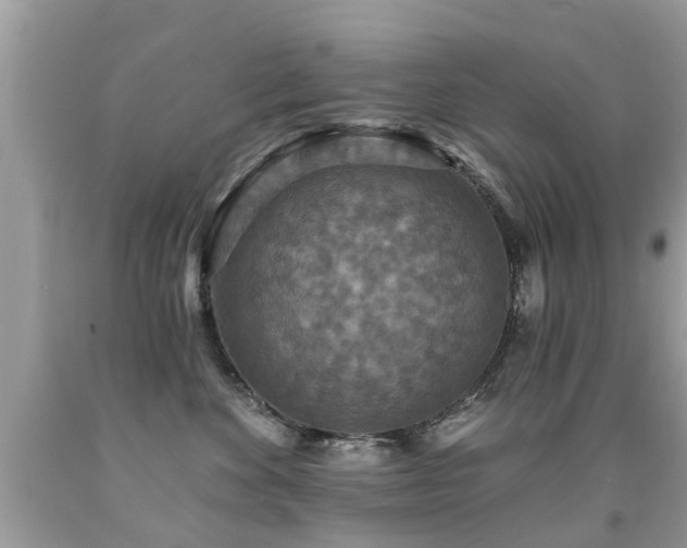 X0000091930524200709051504
