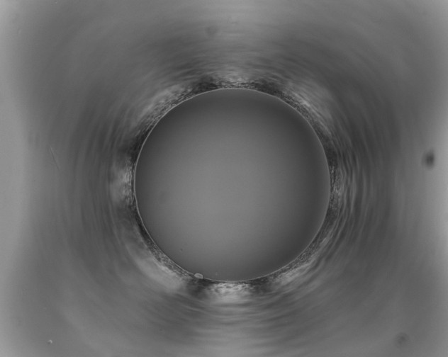 X0000091930526200709051504