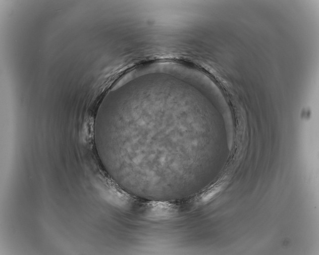 X0000091930528200709051504