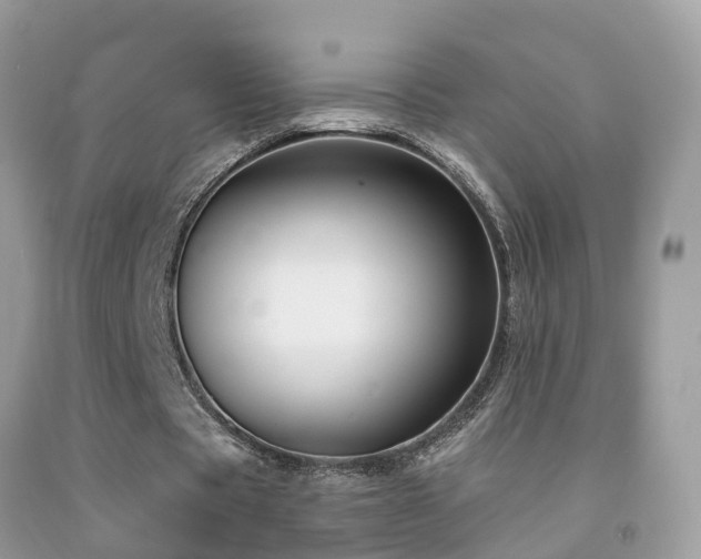X0000091930529200709051503