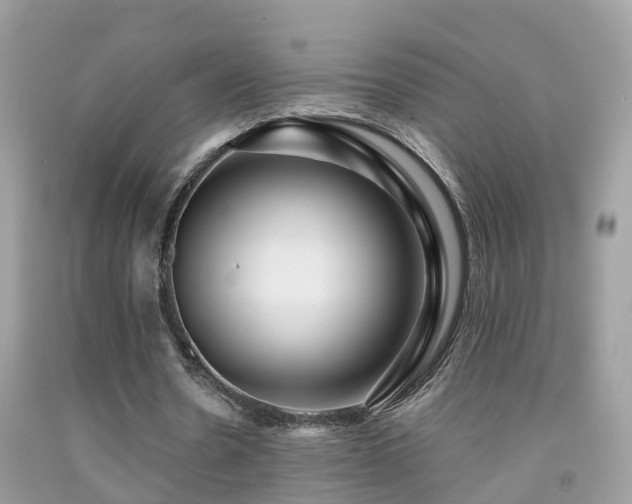X0000091930530200709051503