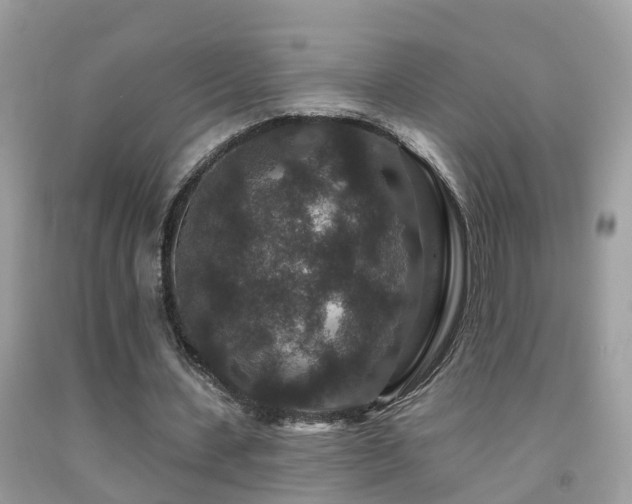X0000091930531200709051503