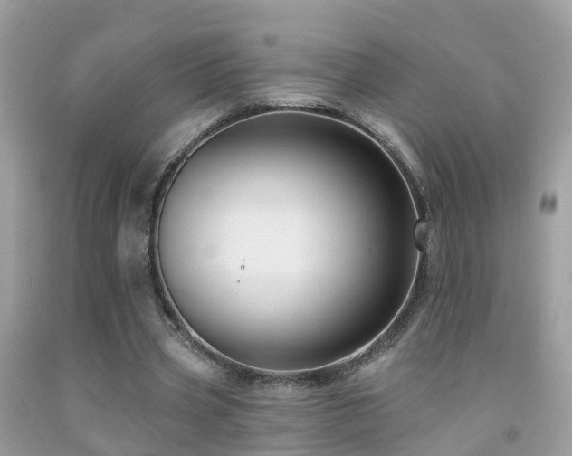 X0000091930533200709051503