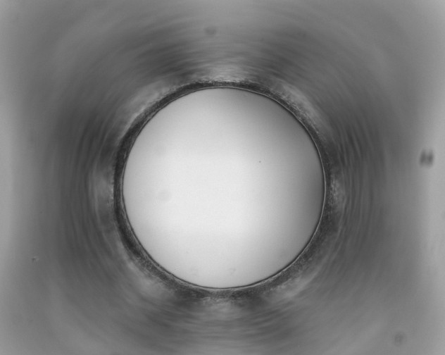 X0000091930534200709051503