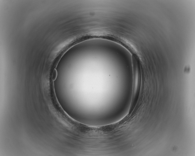 X0000091930535200709051503