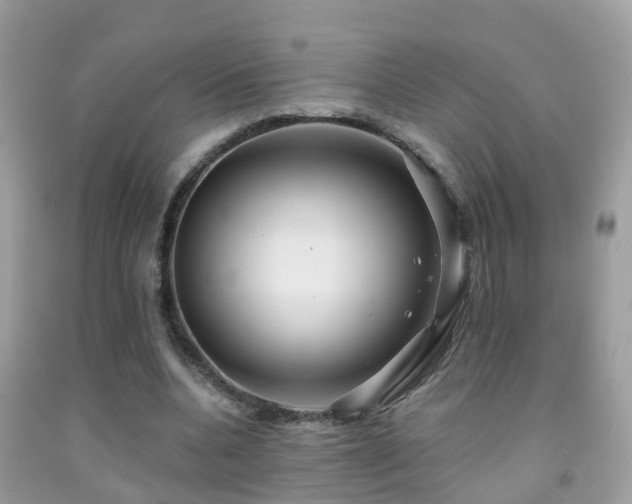X0000091930536200709051503