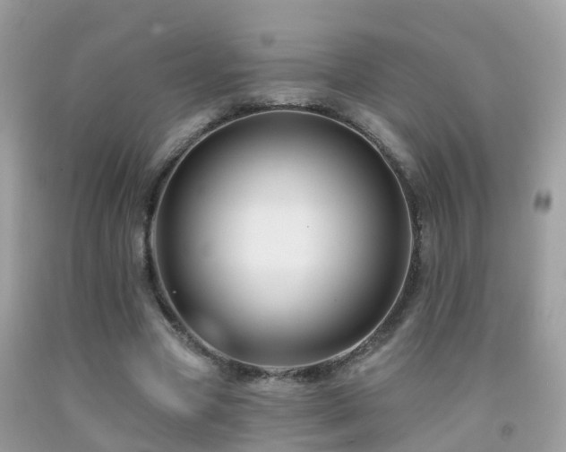 X0000091930537200709051503