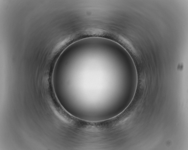 X0000091930538200709051503