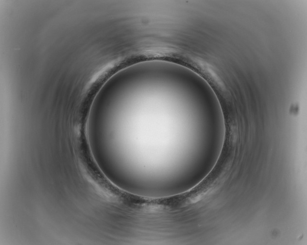 X0000091930539200709051503