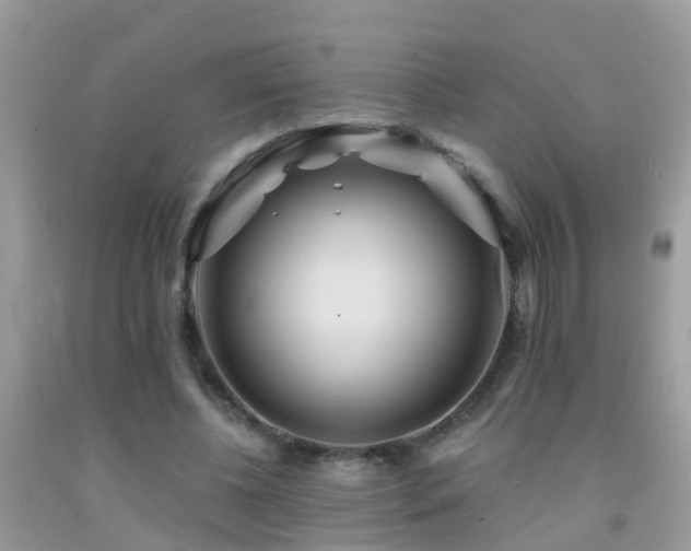 X0000091930540200709051503