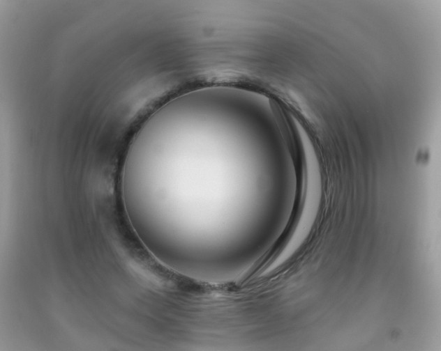 X0000091930543200709051503