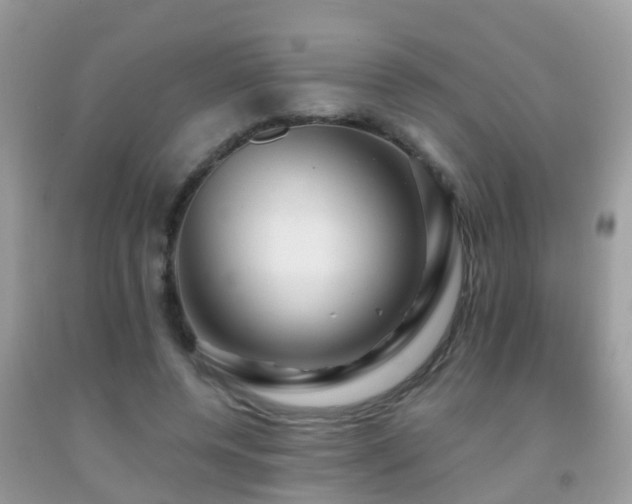 X0000091930544200709051503