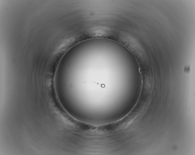 X0000091930545200709051503